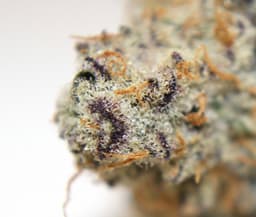 Three Rivers Dispensary - MED logo